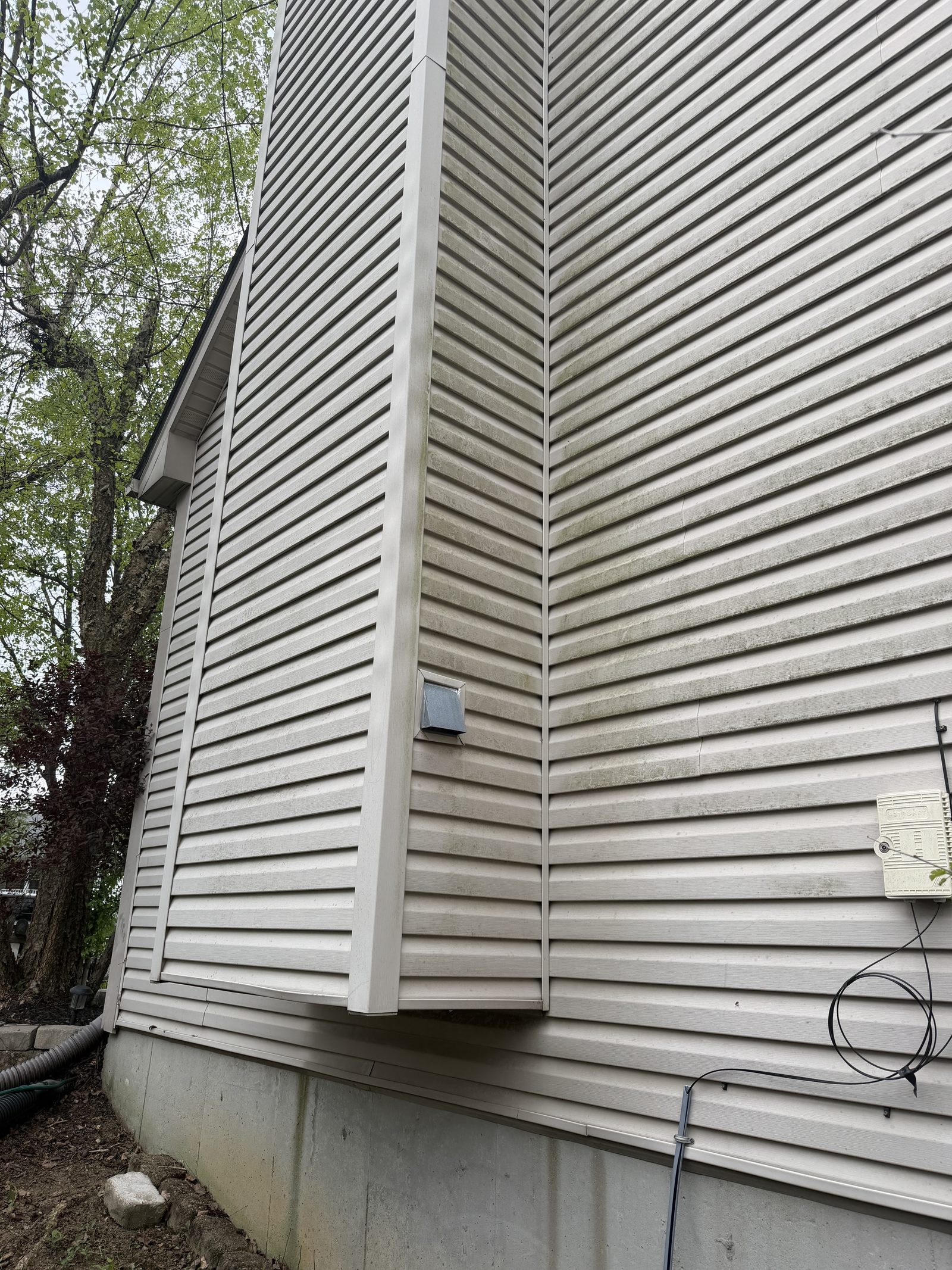 Tan vinyl siding with green algae streaks before pressure washing